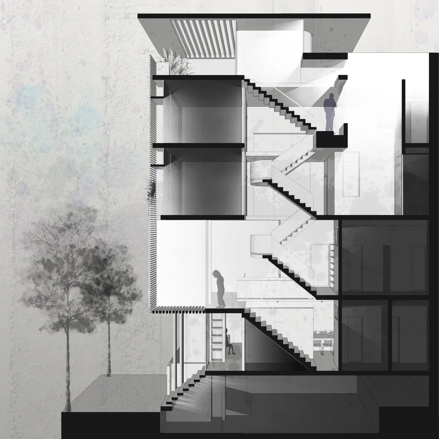 Variation - Thiết kế kiến trúc đa dạng